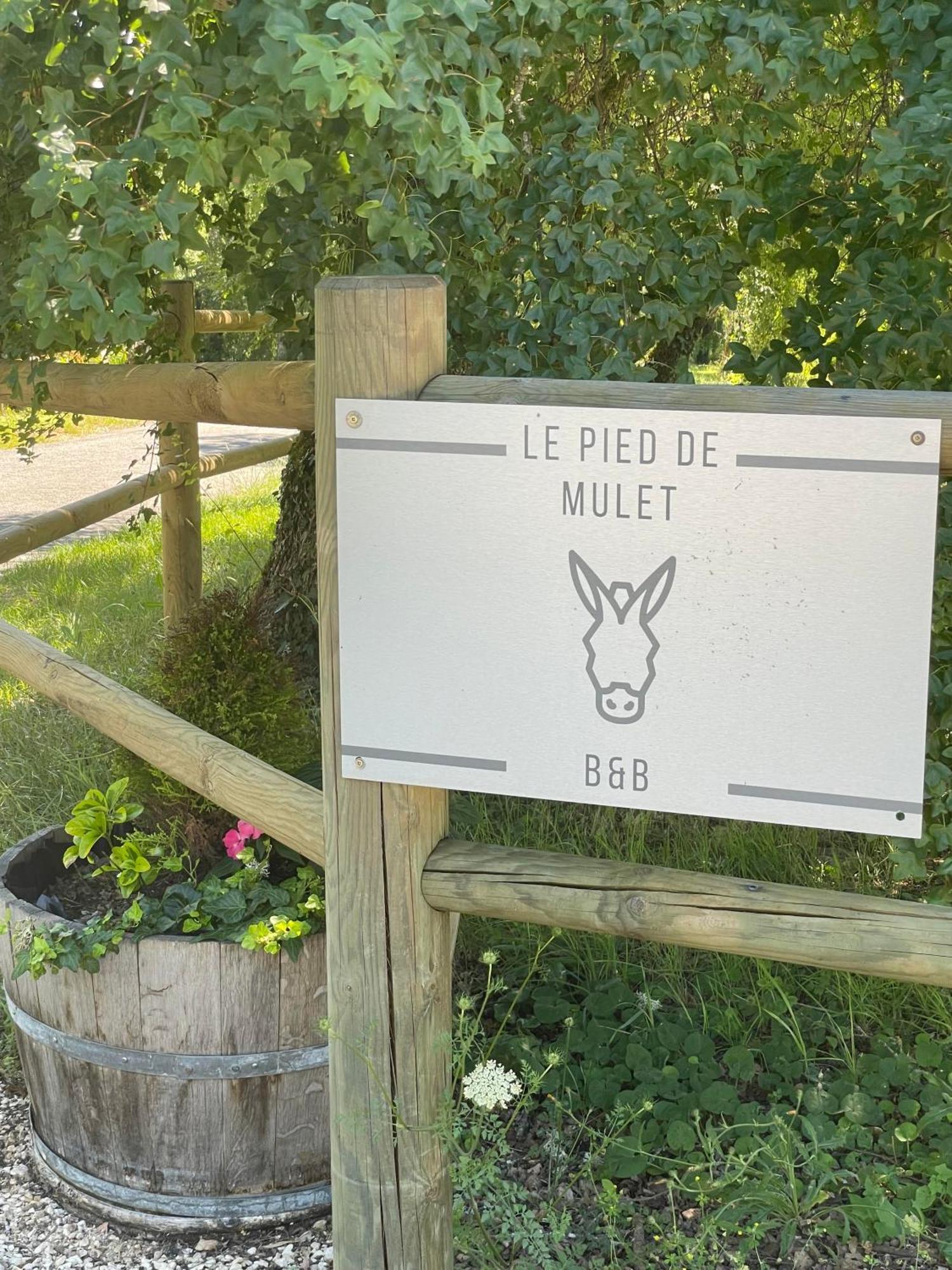Junior Le Pied De Mulet Brouchaud